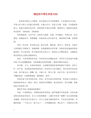 调皮的中等生评语2024 
