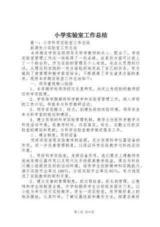 小学实验室工作总结 