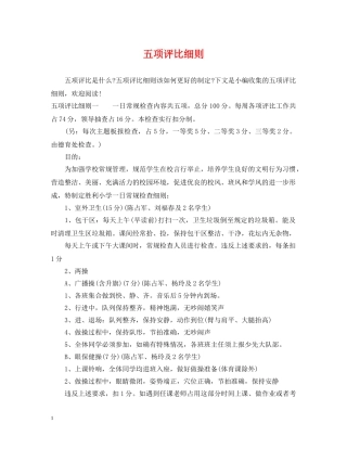 五项评比细则