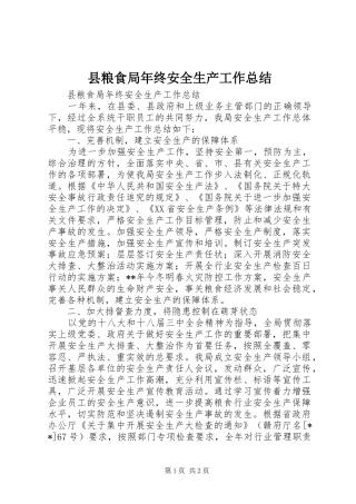 县粮食局年终安全生产工作总结 