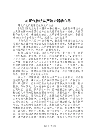 树正气依法从严治企活动心得