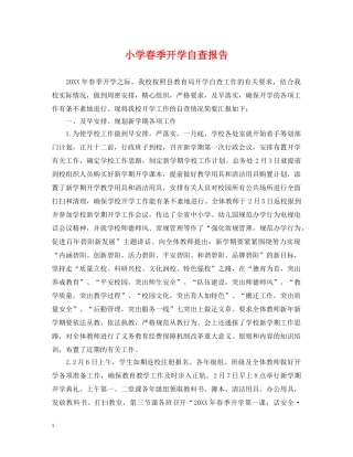 小学春季开学自查报告 