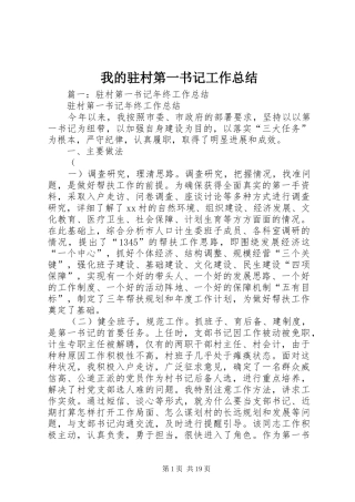 我的驻村第一书记工作总结 