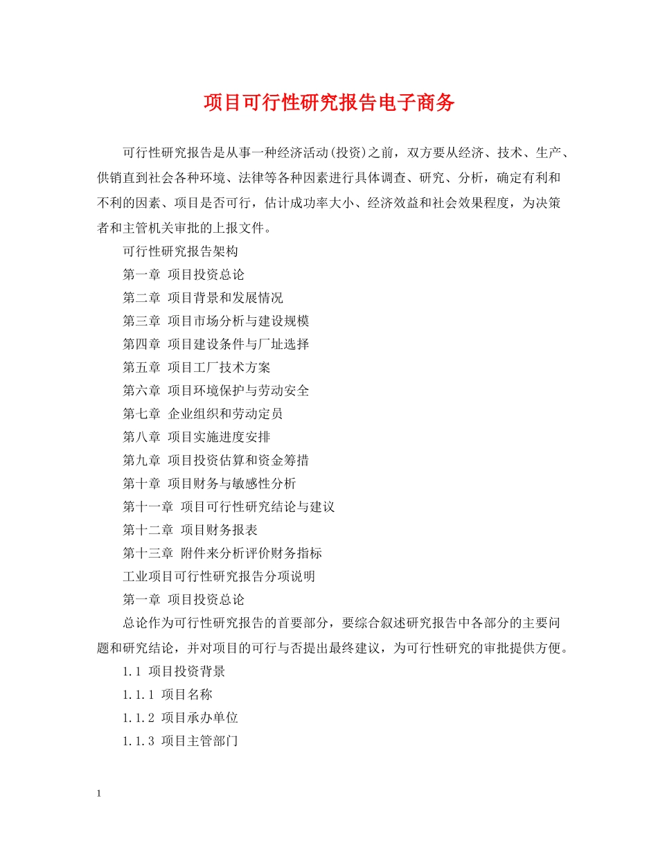 项目可行性研究报告电子商务 _第1页