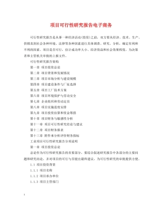 项目可行性研究报告电子商务 