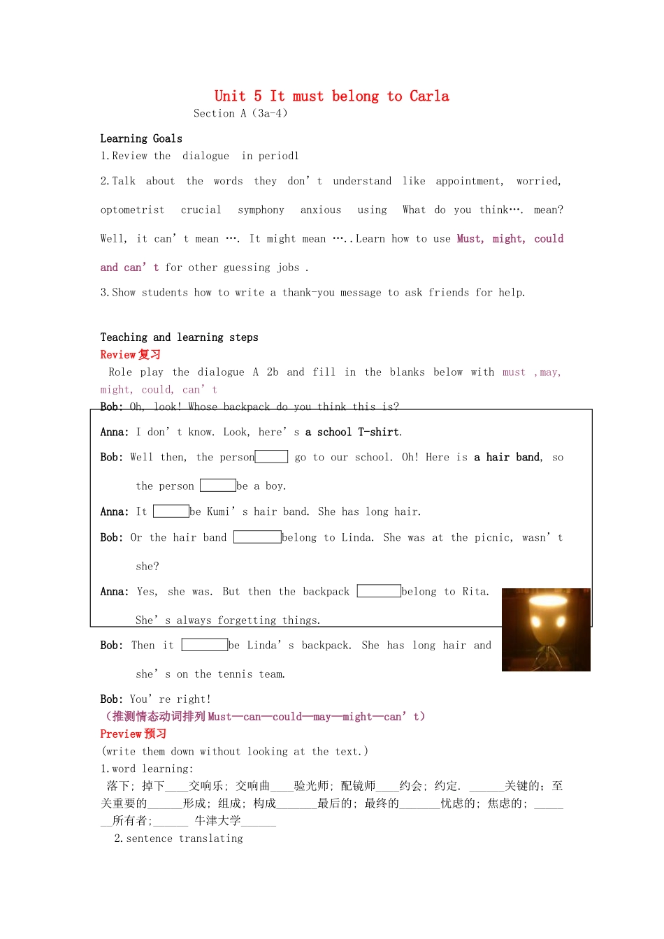 （水滴系列）九年级英语全册 Unit 5 It must belong to Carla（第3课时）教案 人教新目标版-人教新目标版初中九年级全册英语教案_第1页