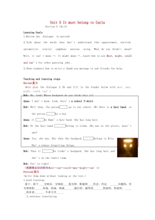 （水滴系列）九年级英语全册 Unit 5 It must belong to Carla（第3课时）教案 人教新目标版-人教新目标版初中九年级全册英语教案