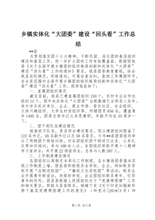 乡镇实体化“大团委”建设“回头看”工作总结 