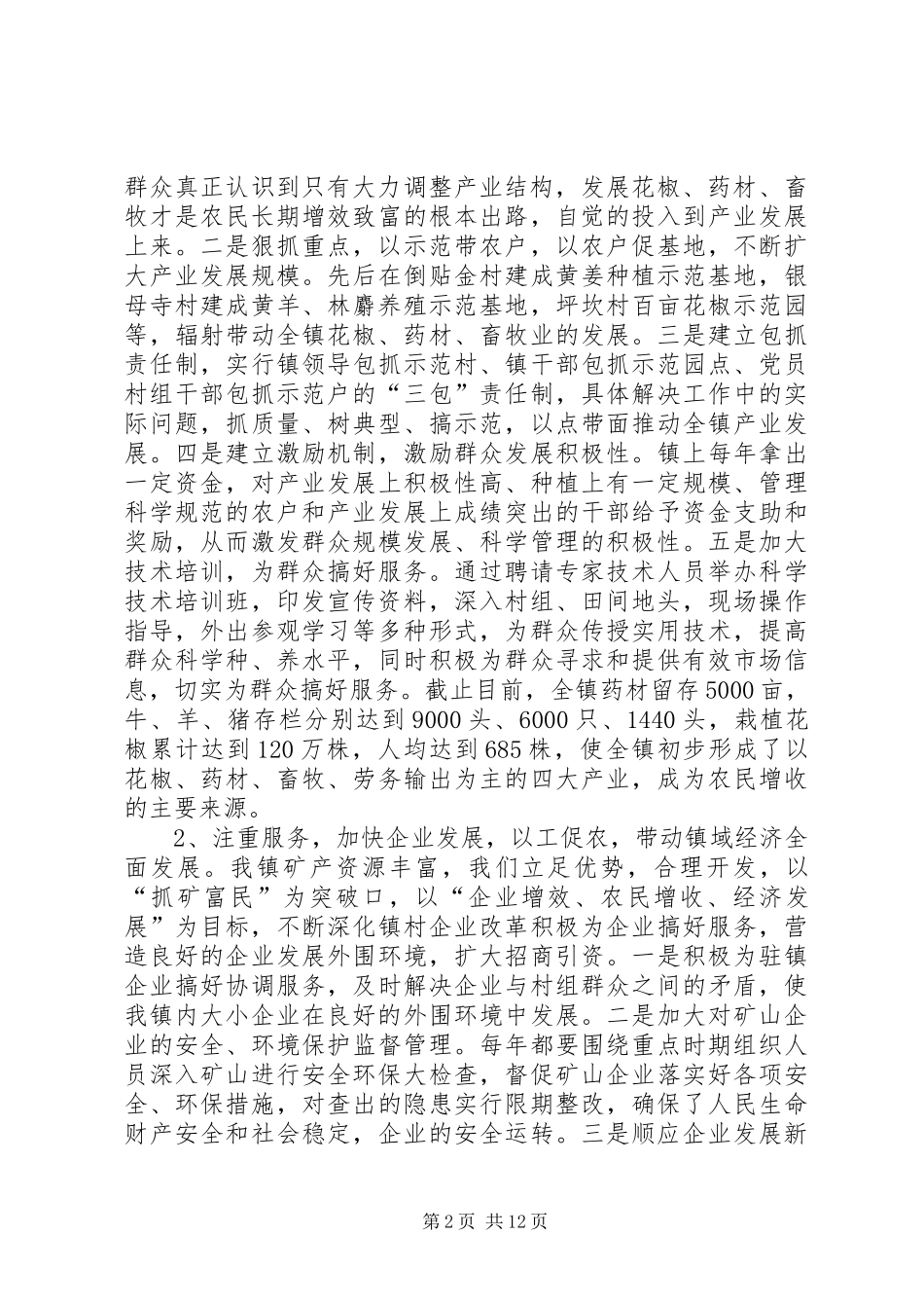 乡镇党委班子届期工作总结 _第2页