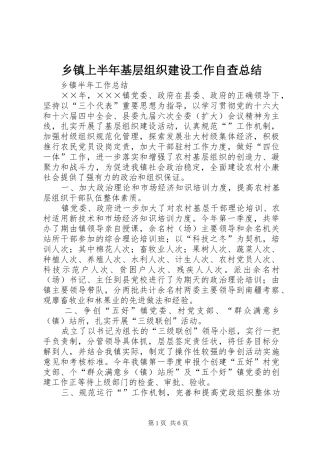 乡镇上半年基层组织建设工作自查总结 