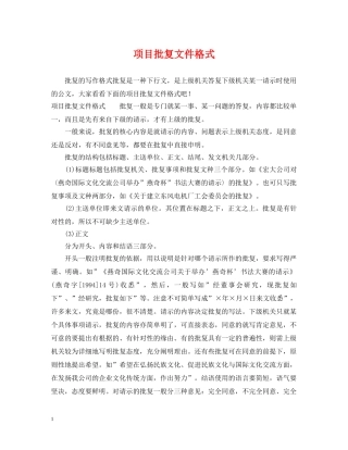 项目批复文件格式 