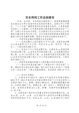 市水利局工作总结报告 