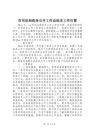 市司法局政务公开工作总结及工作打算 