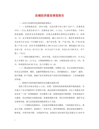 县城经济建设调查报告 