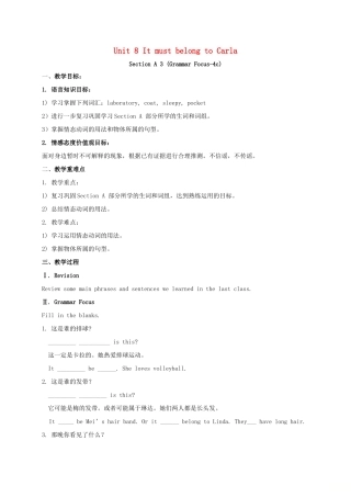 湖南省张家界市桑植县九年级英语全册 Unit 8 It must belong to Carla Section A 3（Grammar Focus-4c）教案 （新版）人教新目标版-（新版）人教新目标版初中九年级全册英语教案