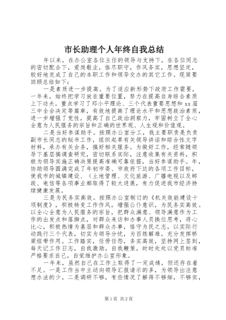 市长助理个人年终自我总结 