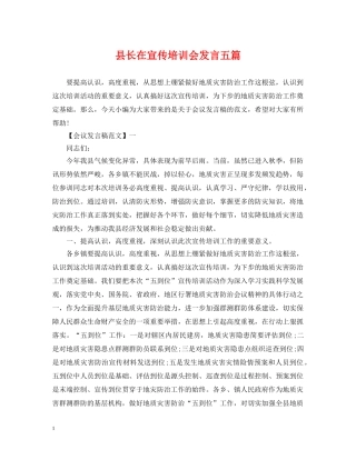 县长在宣传培训会发言五篇 