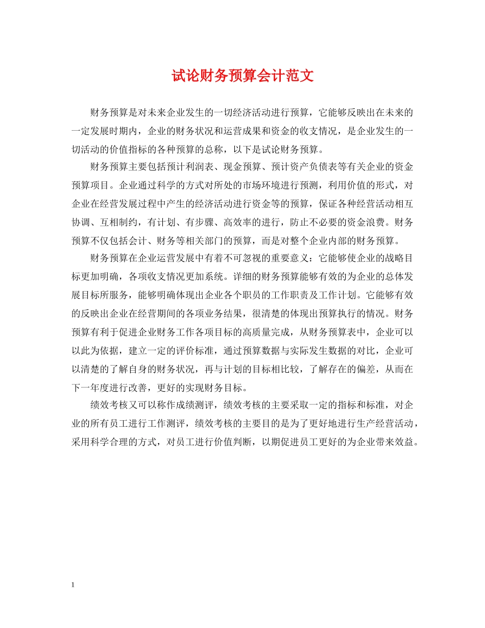 试论财务预算会计范文 _第1页