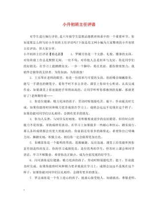 小升初班主任评语 