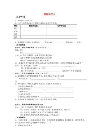 九年级化学上册 第七单元 第1节 燃烧与灭火学案 新人教版-新人教版初中九年级上册化学学案