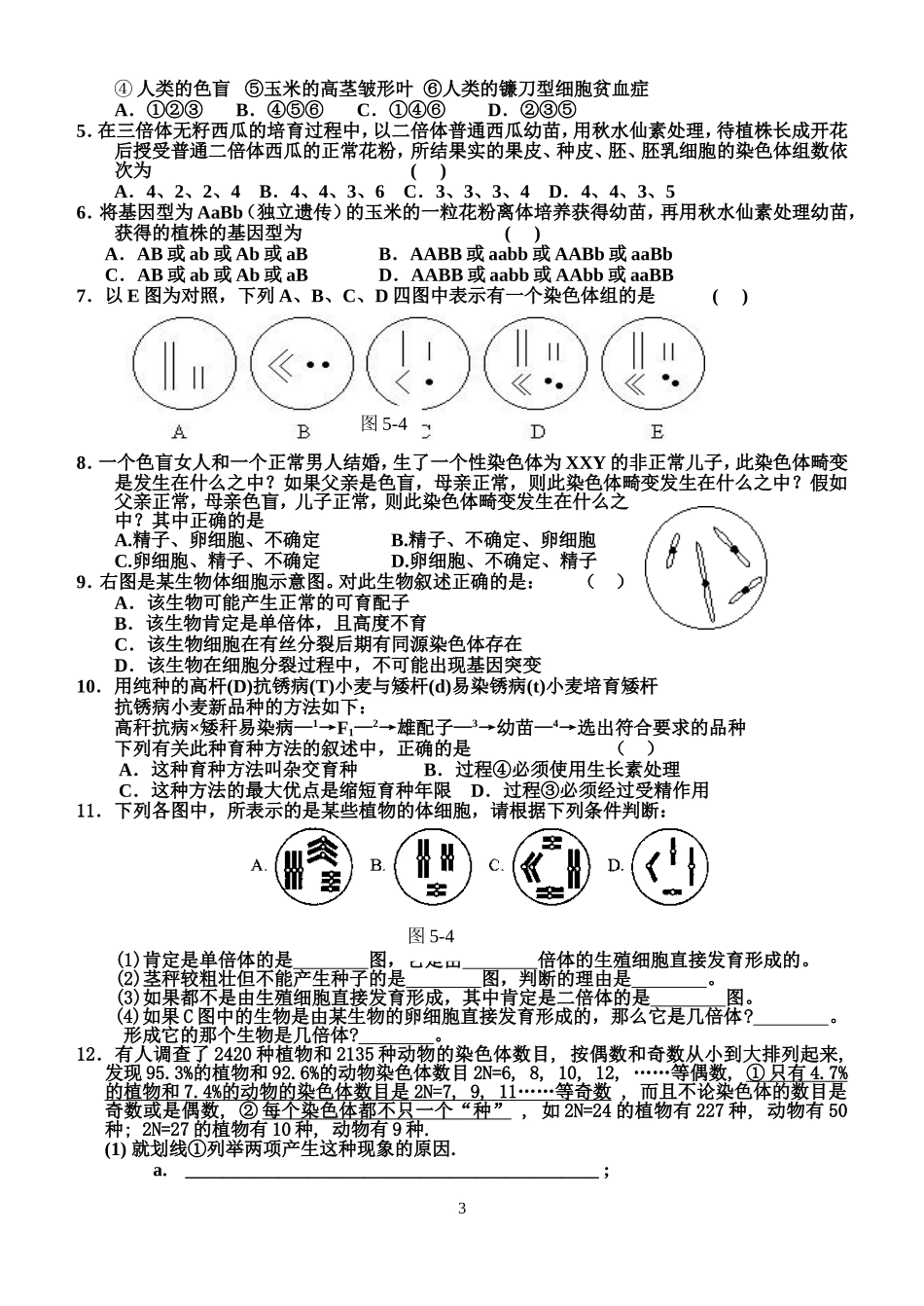 基因突变及其他变异2_第3页