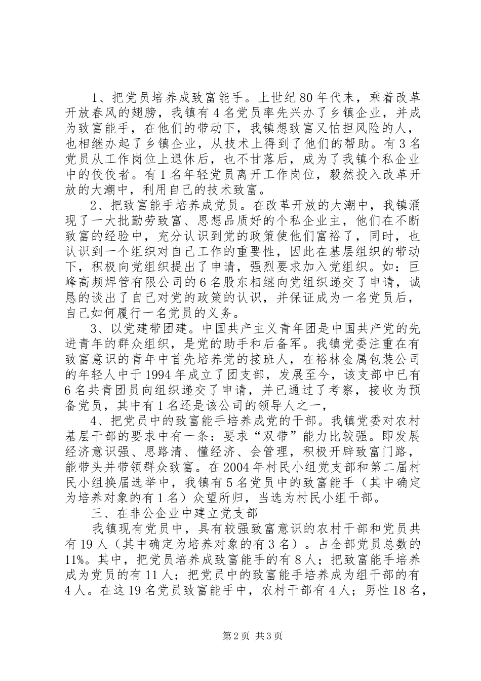 乡镇非公企业云岭先锋工程工作总结 _第2页