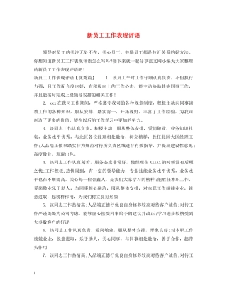 新员工工作表现评语 