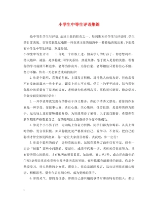 小学生中等生评语集锦 