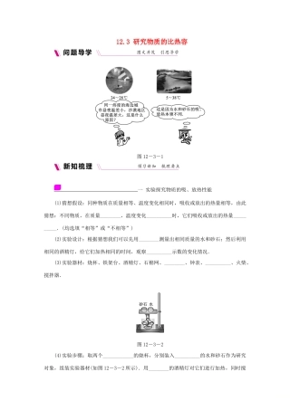 九年级物理上册 12.3研究物质的比热容学案（含练习）（新版）粤教沪版-（新版）粤教沪版初中九年级上册物理学案