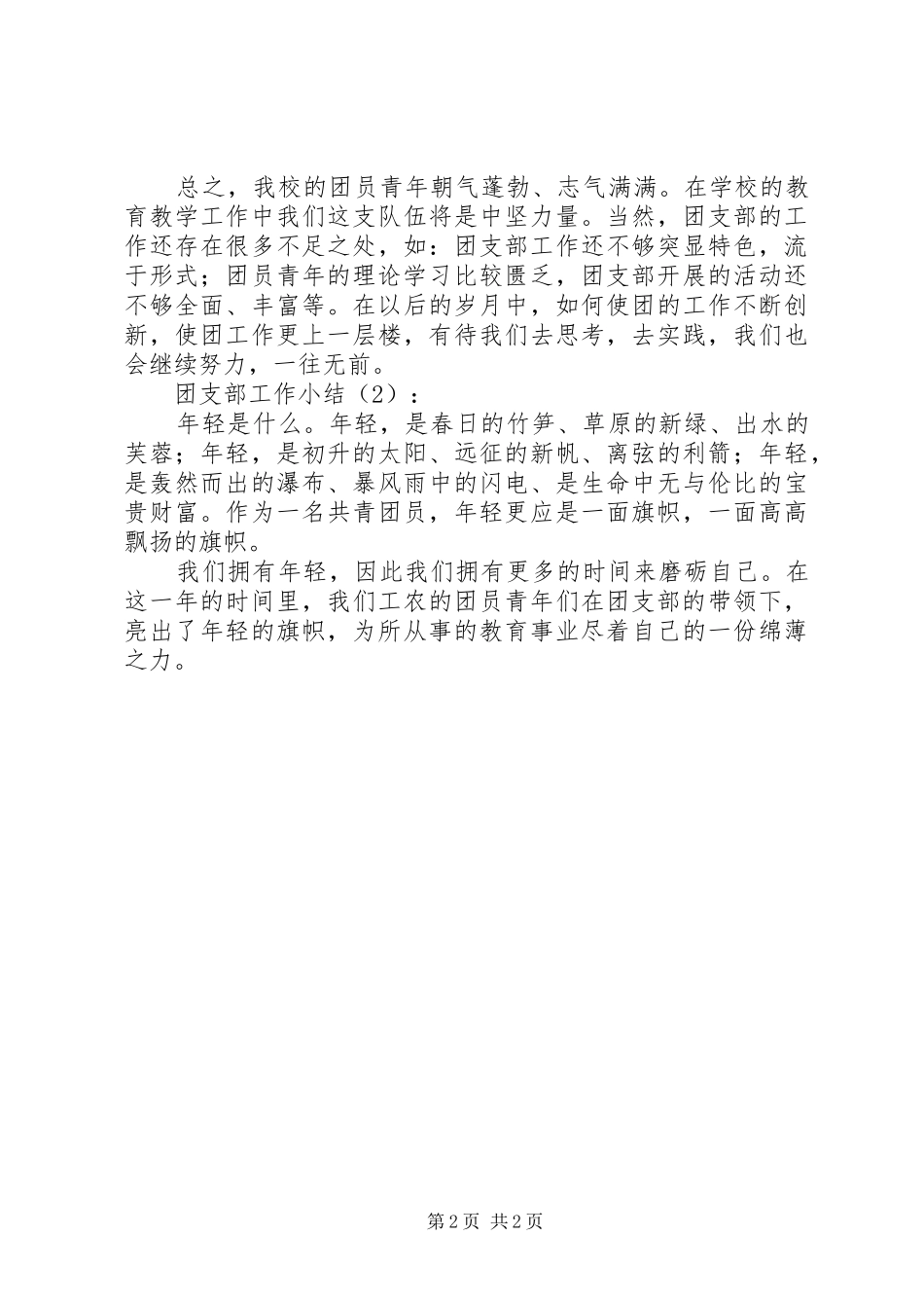 团支部工作小结2篇_第2页