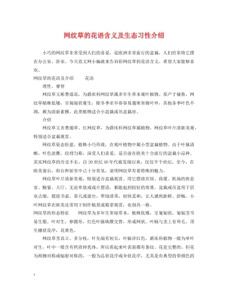 网纹草的花语含义及生态习性介绍 