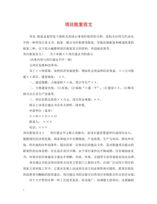 项目批复范文 