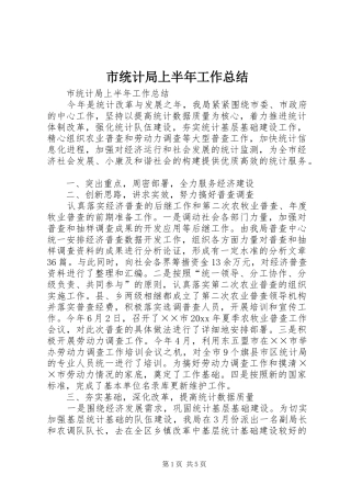 市统计局上半年工作总结 
