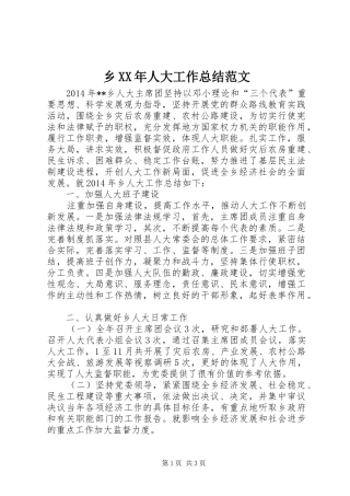乡XX年人大工作总结范文 