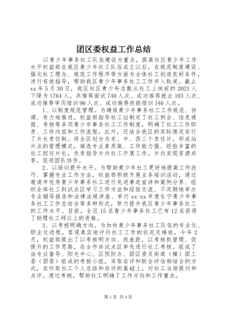 团区委权益工作总结 