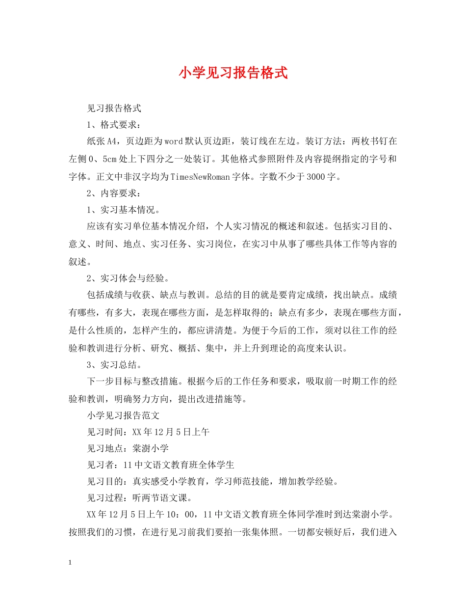 小学见习报告格式 _第1页