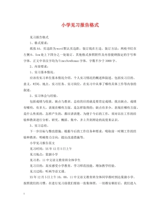 小学见习报告格式 