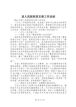 县人民医院党支部工作总结 
