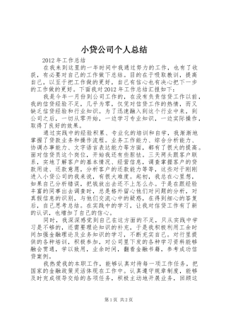 小贷公司个人总结 