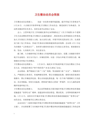 卫生整治动员会简报 