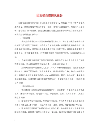 团支部自查情况报告 