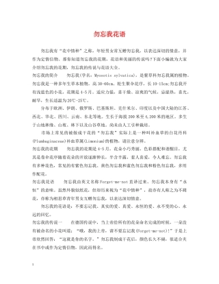 勿忘我花语 