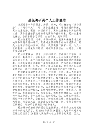 县级调研员个人工作总结 