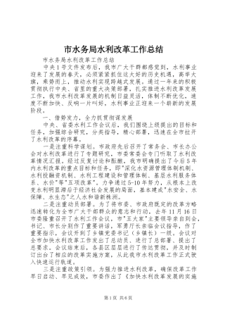 市水务局水利改革工作总结 