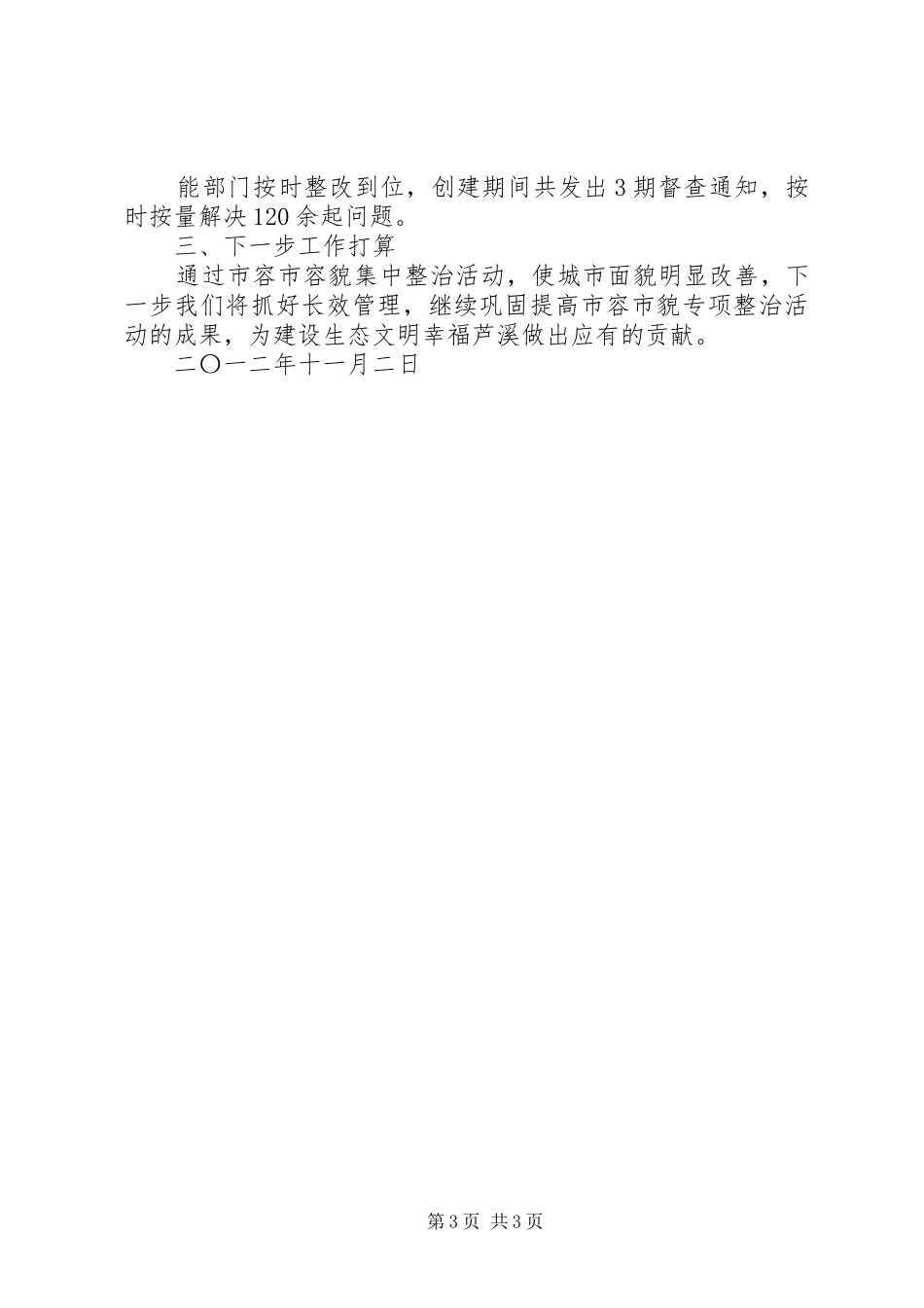 市容专项整治工作总结 _第3页