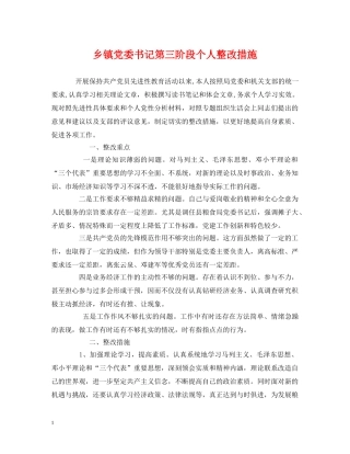 乡镇党委书记第三阶段个人整改措施