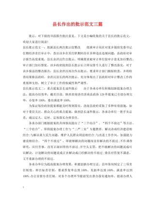县长作出的批示范文三篇 