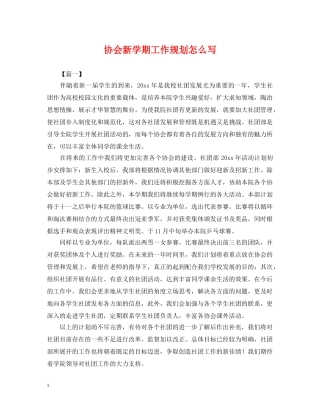 协会新学期工作规划怎么写 