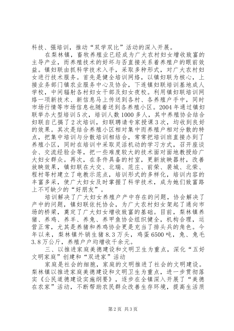 乡镇妇联工作总结 (26)_第2页