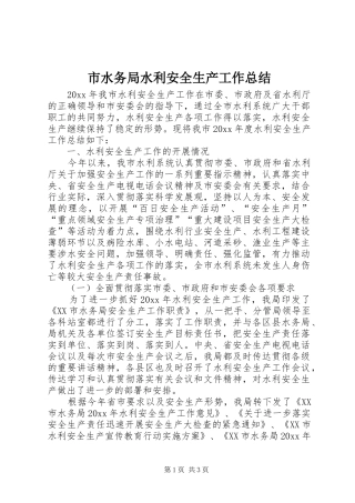 市水务局水利安全生产工作总结 